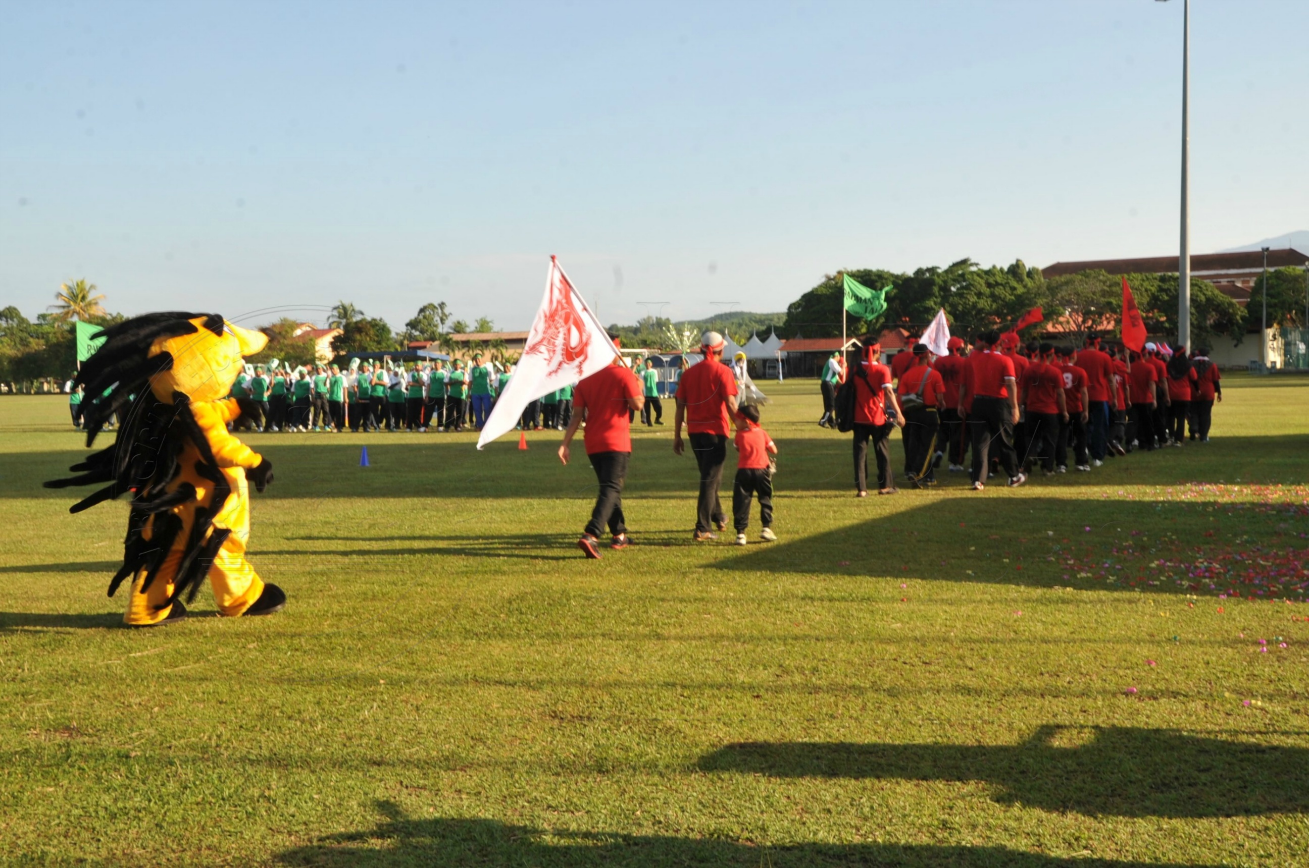 PRO 15 53 KIESTA HAS 3577